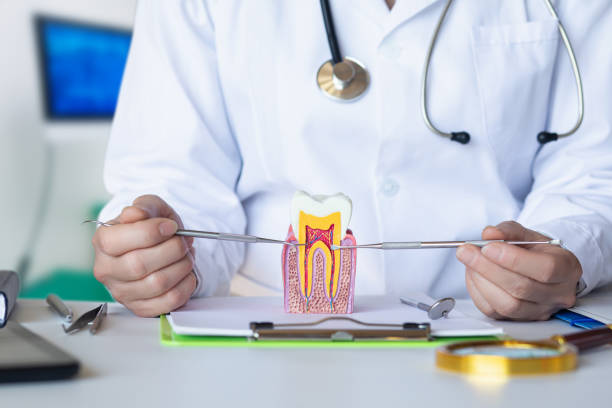 Best Emergency Dental Care for Broken or Chipped Teeth in Mcsherrystown, PA